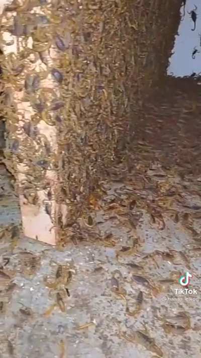 After 6 years of absence