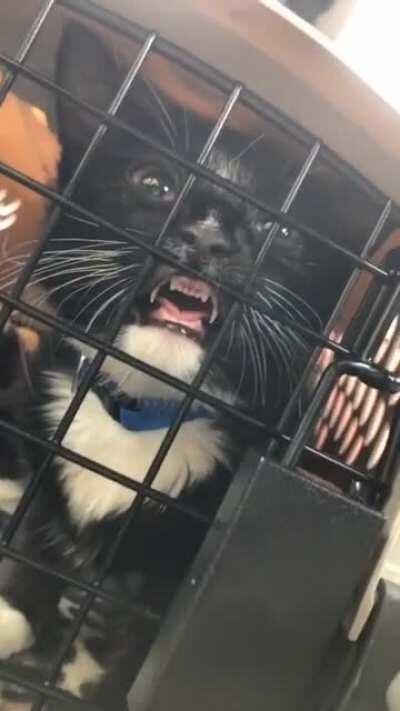 Two balls lighter and a couple doses heavier😂 post-op