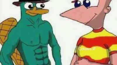 Get the fucking boat, now.