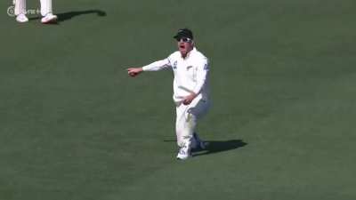 GLENN PHILLIPS at it again