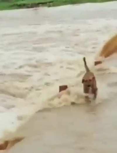 If there's a hole, there's a goal - master oogway