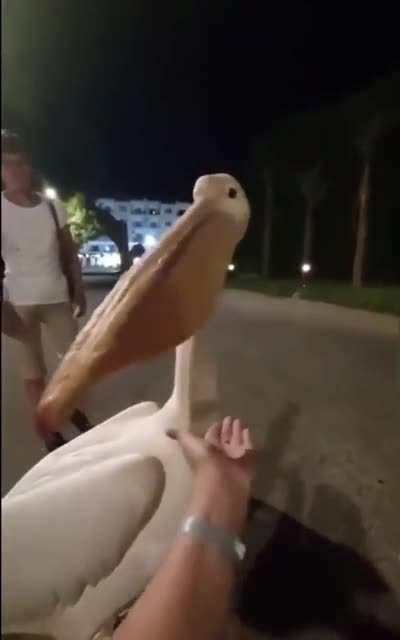 oia que bunitinhllllkjsaaaaaaaaaaaaaaa9