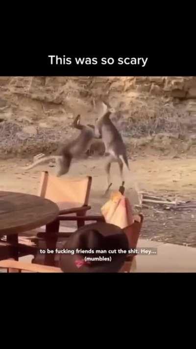 They were supposed to be friends