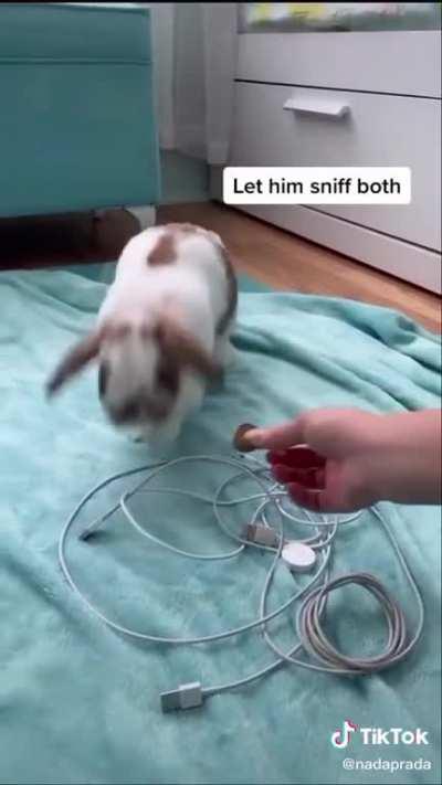 wow this actually works!