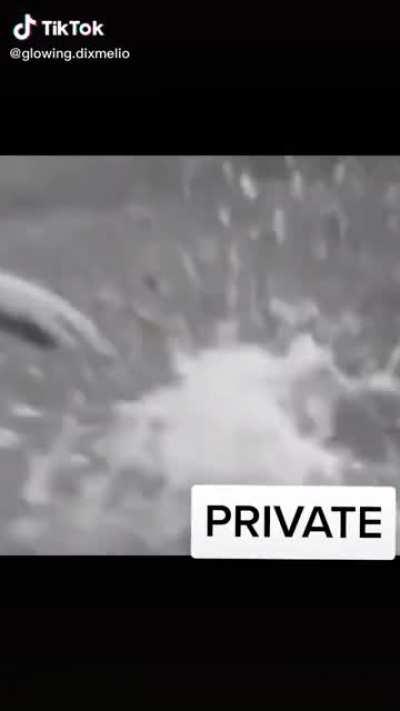 This is the music video they should’ve used