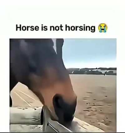 H*rse tried to use it's bardic skills to seduce me