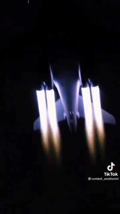 Beauty shot of the bone