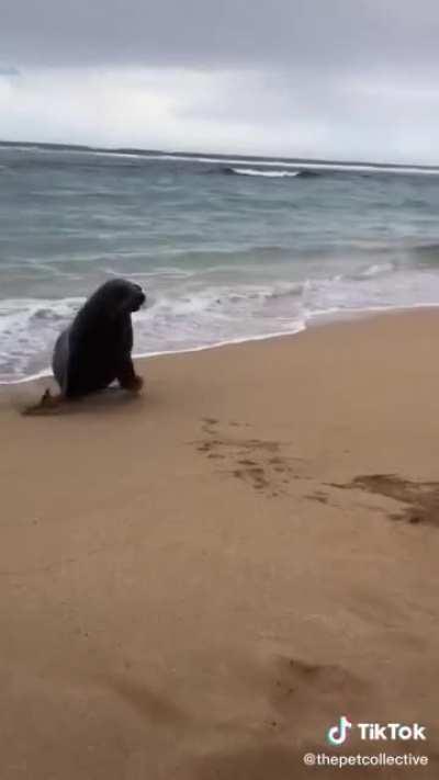 Hey, that was my lunch :(