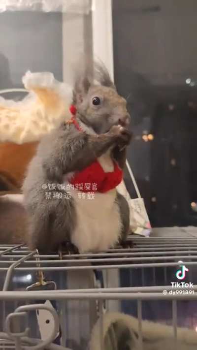 I had to suffer and now you do too