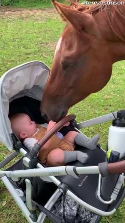 Hey Kid, I’m Horse