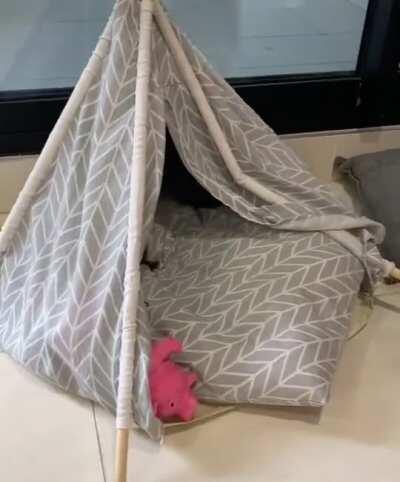 Hey, what's going on in there?