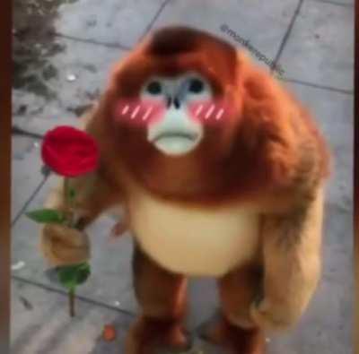 Connor on Ironmouse’s birthday: