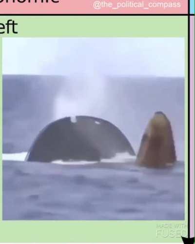 The 2 sides of LibLeft (credit goes to the watermark in video)