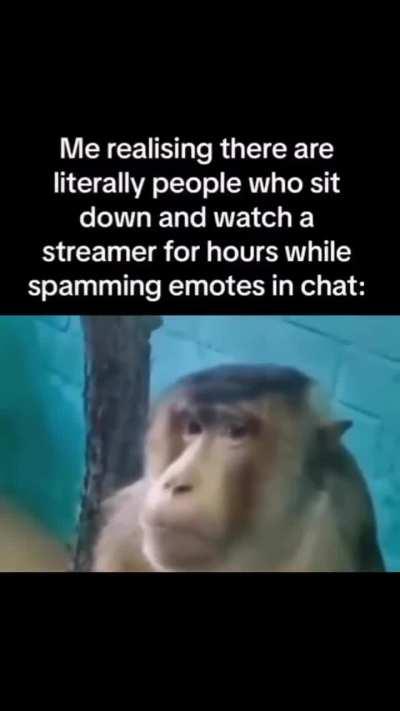 No way people actually watch twitch and pretend to be entertained. They must be NPCs 💀