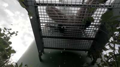 I have defiled someone else's property