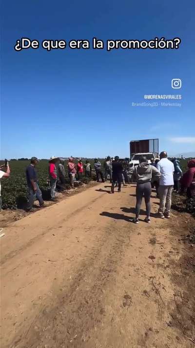 What are they promoting?