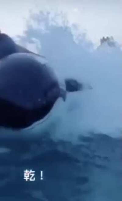 This motherfucker right here 🦈