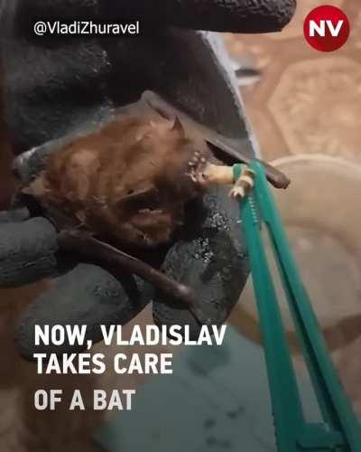 “It will fly!”, a Ukrainian soldier tamed a crow and nursed it back to health.

The soldier, Vladyslav, discovered the bird with a broken wing near his position. So, he looked after his winged friend and treated him at his own expense.