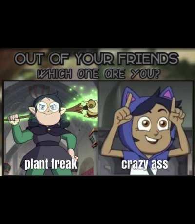 Out of your friends which are you?