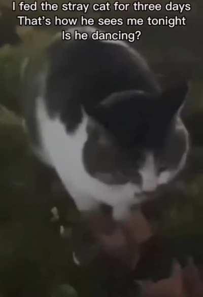 little brother grooving