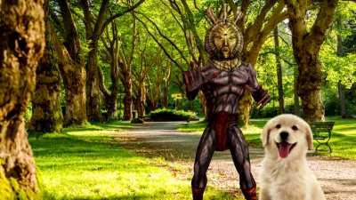 Come and look upon the dog