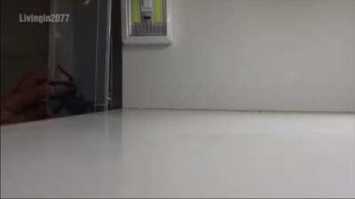 it's the spiders house now