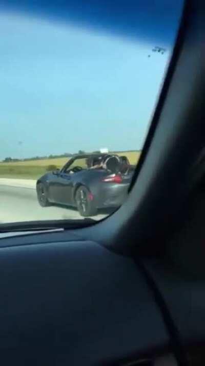 “Idiots With Dogs”