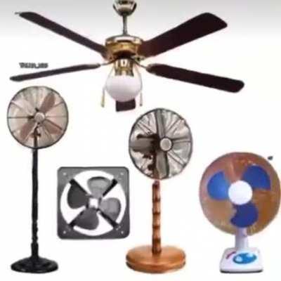 Real Slim Shady stands up