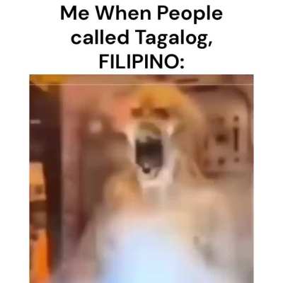 Let's Dabate about This