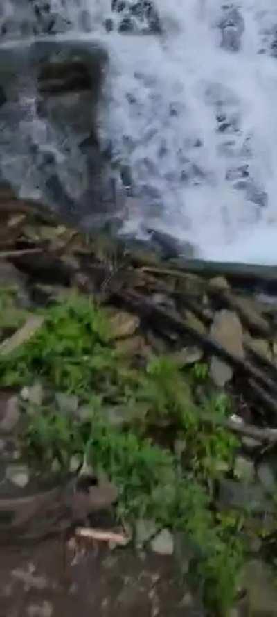 Gushy waterfall while he's deep in my throat