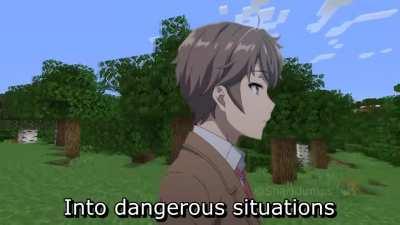 Rascal does not dream of minecraft 2