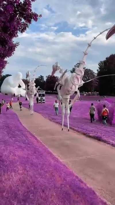 Strolling the Purple Valley