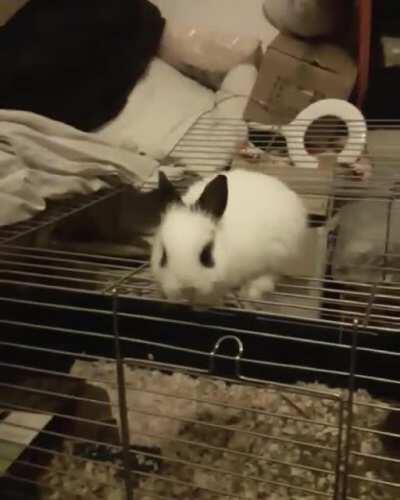 She likes to jump 💜