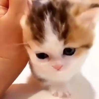 Snuggle time with parents!!