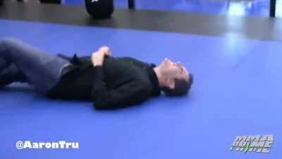 Reporter asks to be leg kicked by former UFC Heavyweight Champ Fabricio Werdum to see how bad it really hurts