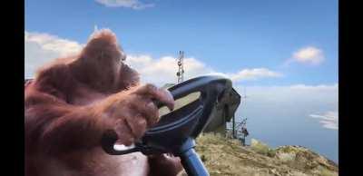 Me jumping back onto GTA every so month, just to drive around aimlessly till I get bored