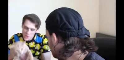 What the cat doin in there