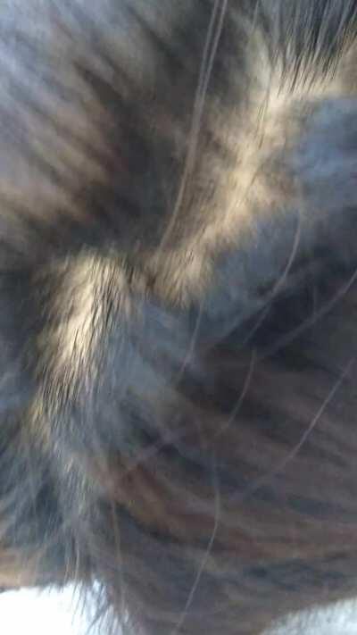 Japanese Girl Sucking Me Off In A Public Park In Japan