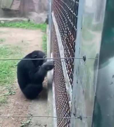 A Beautiful love story