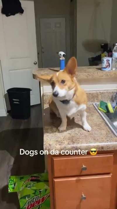 took a quick run to the shop