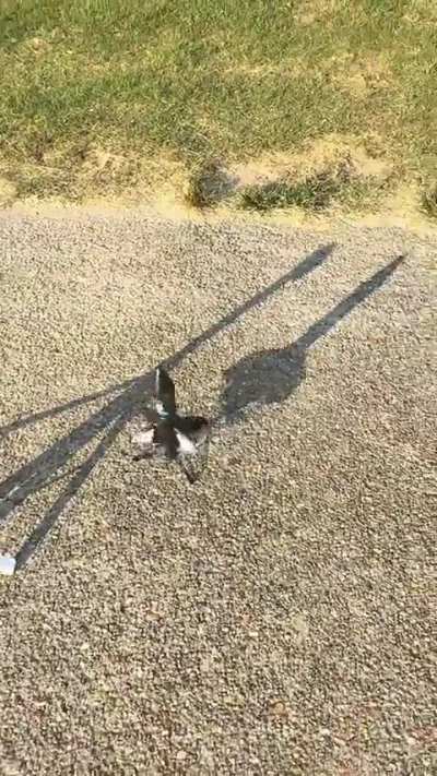 This toy is the coolest launcher I’ve ever seen. Too much fun!