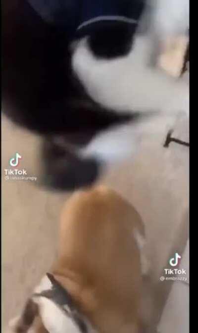 The movement of rank 200+ players