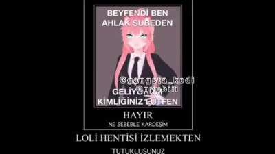 LOLİ DEĞİL O APTAL KARI
