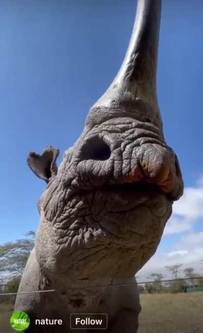 POV: You’re the only member of the sinister six not in No Way Home