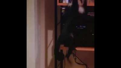 A lil something I made🖤