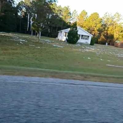 Somebody Did One Hell of a Job TP-ing This Yard Near my House