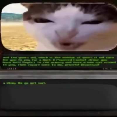 Camp Navarro’s drill sergeant is big mad 😡