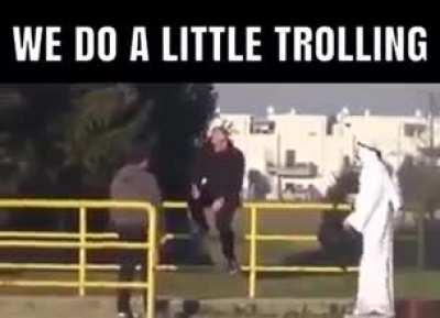 Humans on Venlil prime be like: