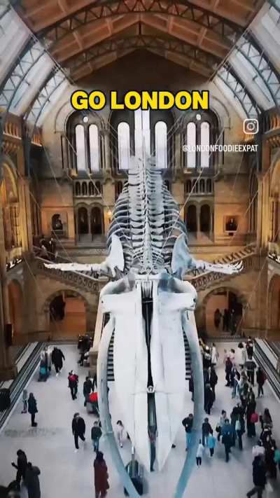 Virat Kohli Sahab after every series! 