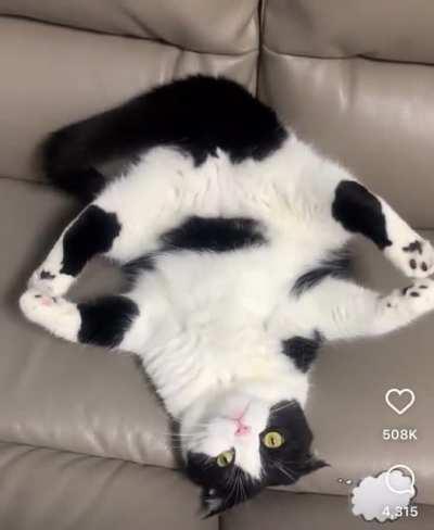 Morning yoga is very important.